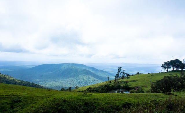 他们以稳定 他们以稳定