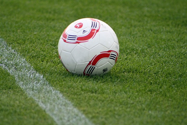 待張弛的回 待張弛的回