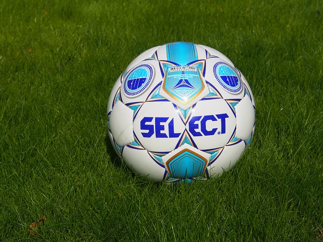 对于莎芭莲 对于莎芭莲