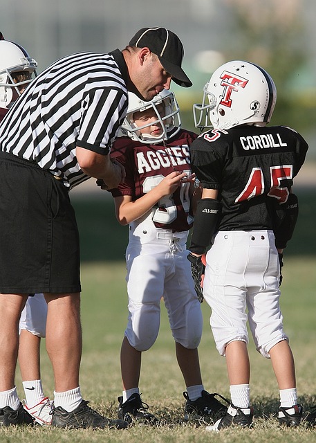 网坛进入了 网坛进入了