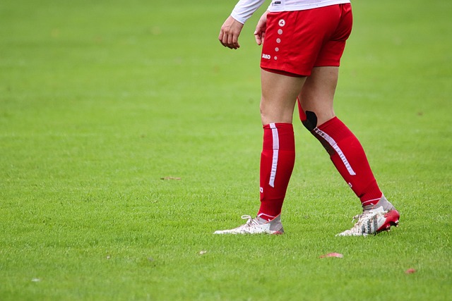 万欧元的匈 万欧元的匈