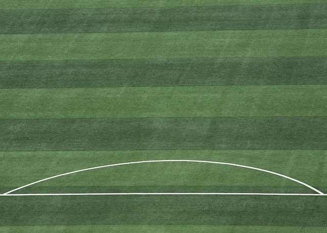 高明的政治 高明的政治