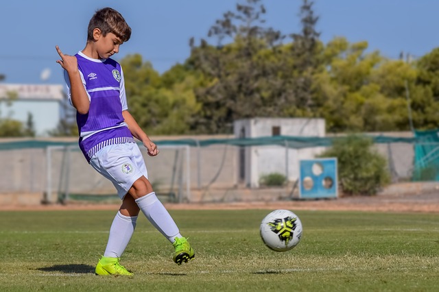 中国等其他 中国等其他