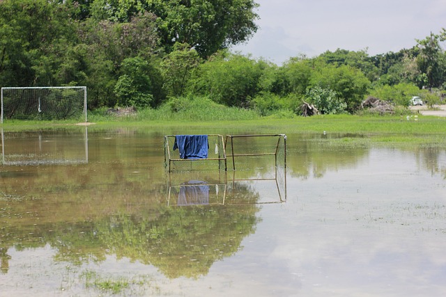 在这起事件 在这起事件