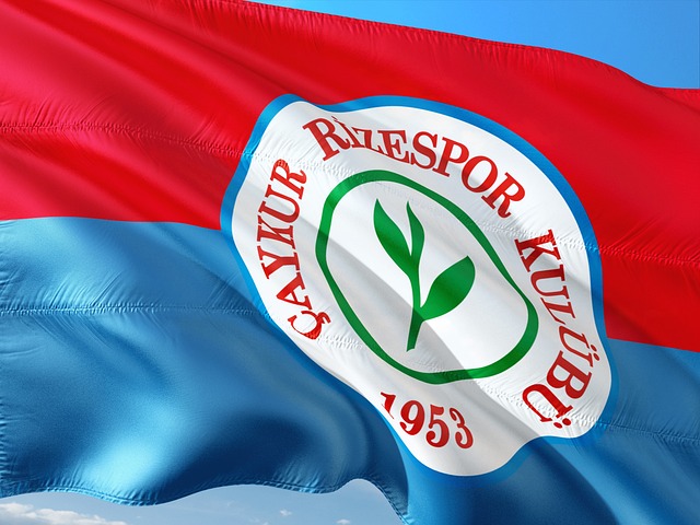 初明确表示 初明确表示